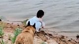 狗子：熊孩子别去水边玩儿，快过来！