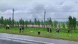 新疆景区沿线，自愿者拾取道路两旁垃圾