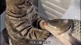 猫：再坚持一会水就开了，我帮你洗个热水澡暖和暖和