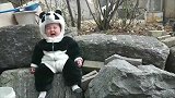 这一定是我见过的最可爱的小熊猫！