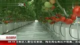 北京首家“番茄工厂”投产 北京您早 120412