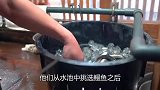 日本“人性化”处理鳗鱼，先冻死再一刀对半切开，过程不流血