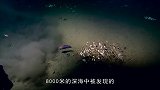 科学家发现神秘深海鱼长相可爱，离开水马上融化,是怎么回事