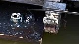 许愿池里捞钱，你小子胆真大