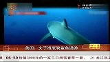 旅游-人文风物-20130225-女子海底骑鲨鱼遨游