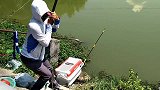 用螺蛳钓上大青鱼！螺蛳应该怎么挂在钩子上