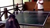 一个真敢教，一只真敢学