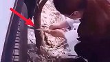 论新手上路神操作