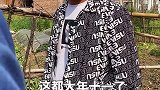 螳螂捕蝉黄雀在后