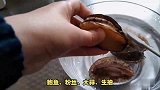 想要做出美味的鲍鱼料理？这里有最简单的家常做法！