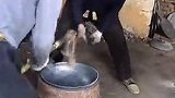 干了几十年的老手艺人，这个打铁都是带节奏的啊！