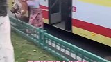 一只毛孩子误上公交车