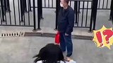 女孩玩滑梯直接跪大爷脚下