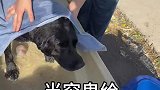 当穷鬼给馋狗洗澡