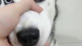 总感觉哪儿不对劲阿！