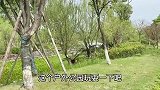 主人把小仓鼠装进包里，带去公园里玩
