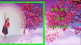 江西万年美蓉广场舞《白首不相离》步子舞