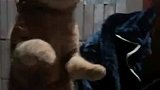 抓到一只小野猫，请问它的脚在干嘛