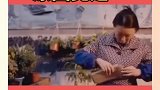 越懂事的孩子看着让人心疼