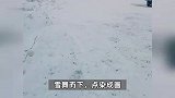 新疆、内蒙古、黑龙江等地开始下雪了！南方人又懵又羡慕：我还开着冷空调呢