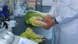 全球首个紫橙色白菜问世啦
