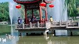 感受大自然的美丽风景，总能收获一份好心情！