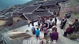 赵丽颖辞职返乡，几百块钱买苗几千块钱买地，脱贫致富干起来！