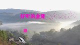 漂亮的金翅雀鸟，好听的金翅雀叫声