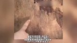 1毫克就可能导致癌症发生！你家厨房里可能也有