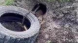 疏通粗管道原来只需要一个轮胎，看着还挺解压的