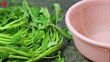 空心菜最家常的做法，几分钟就搞定，好吃又下饭