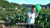 豆子长得太高，只好请老公帮忙，突然觉得自己好矮