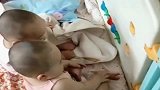 双胞胎兄弟弟弟在玩什么逗得哥哥乐呵呵，小孩的世界咱不懂