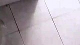 女子研究的扫地方法，可以扫到任何死角，是水母吗