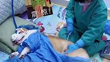 真不愧是猫狗都嫌弃的年龄啊