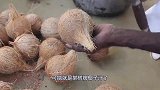 地球上最不正经的树，表面是椰树却产大米，每年养活数百万人