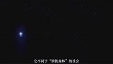 神农架出现金雕捕杀猎物，身高1.2米，极似一种远古生物