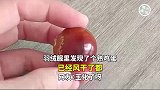 羽绒服里发现了个熟鸡蛋，已经风干了都