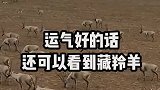 火车带你看中国最美火车线