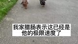 你们等等我啊，我跑不快