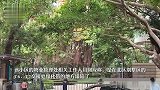 深圳一豪宅花园塌陷掉进地下停车场，专业人士：事故原因可从四个方面调查