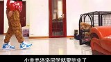 通过20天学习，马上就要毕业了，今天看看学会了什么