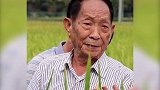 爷爷放心吧，我们会好好吃饭，不会浪费粮食的