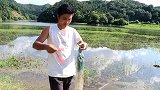 小邓进山捕鱼，回家路上看到了鱼群，后悔没带称手的工具来