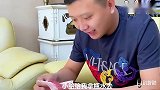 金毛轮胎在家网恋找小母狗，开始聊得很开心，最后轮胎很失望，逗
