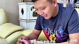 金毛轮胎在家网恋找小母狗，开始聊得很开心，最后轮胎很失望，逗