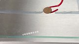 实验结束，可以得到什么结论是水面张力还是浮力