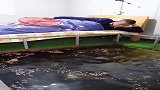 鱼塘旁边放张床，钓鱼的乐趣