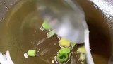 猜猜这是什么