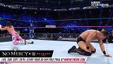 WWE-17年-毫不留情2016：齐格勒VS米兹-全场